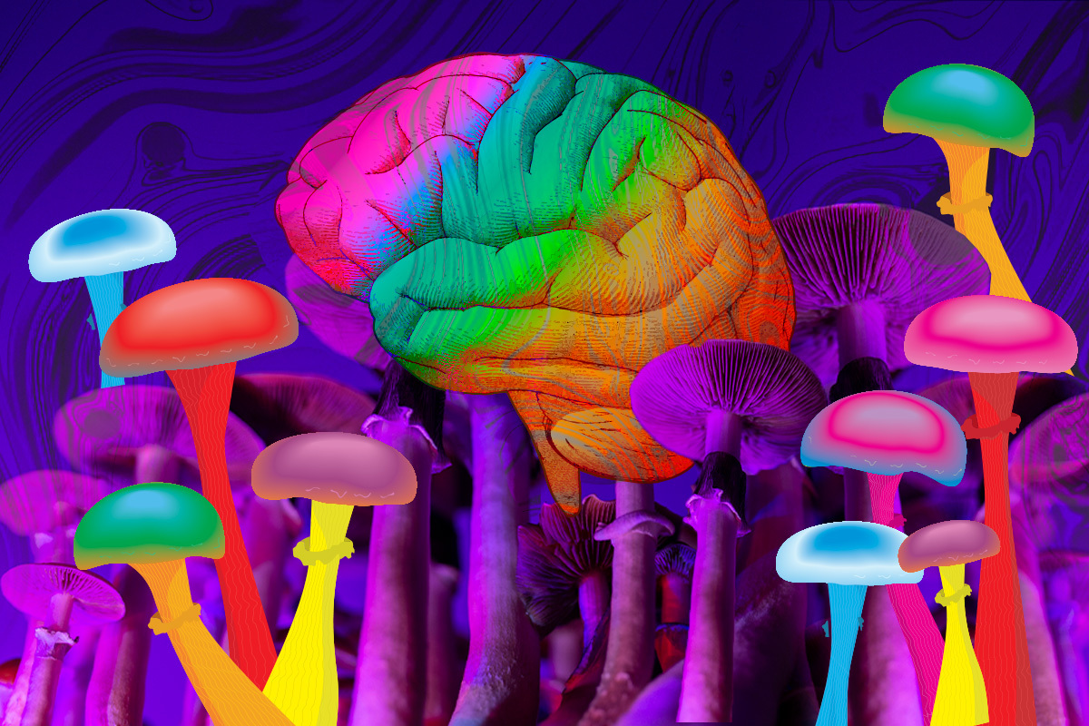 A Beginner's Guide to Understanding Psychedelics: Types and Effects