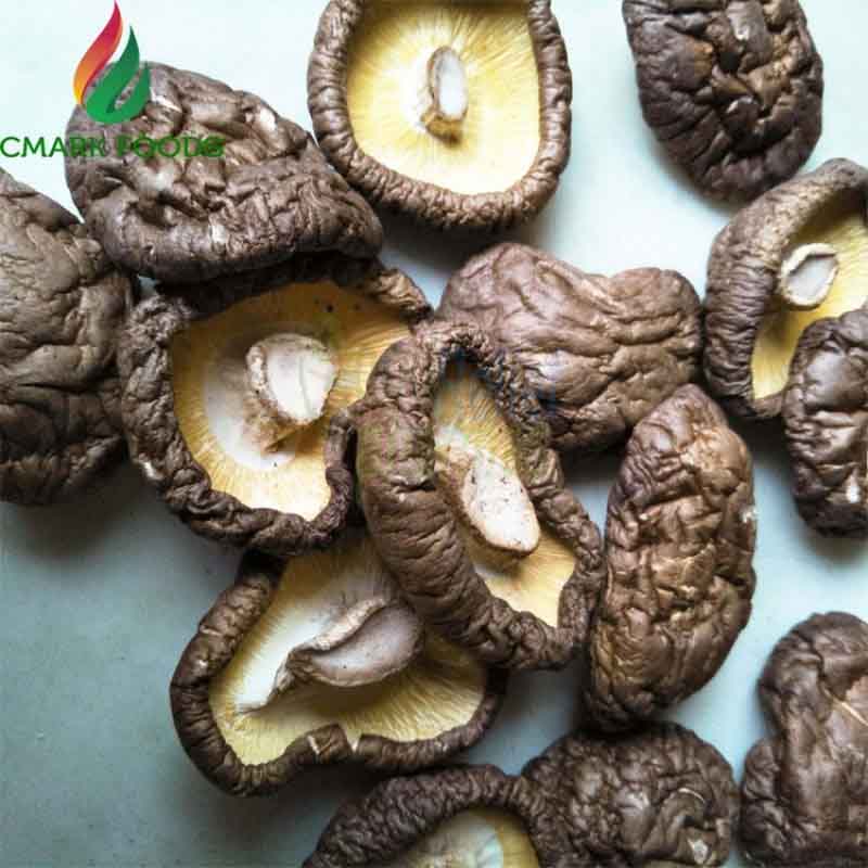 Air dried shiitake mushroom spawn golden oak mushroom